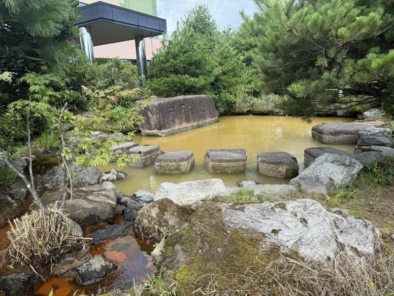 本社池掃除 ①