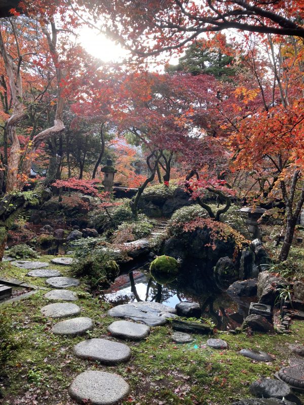 小雨が降った後、日の光が差し込み、キラキラしてそれも綺麗でした。