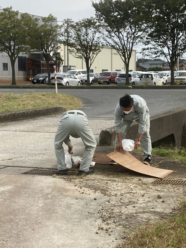 風で飛ばされて傷んでいたので、撤退します！