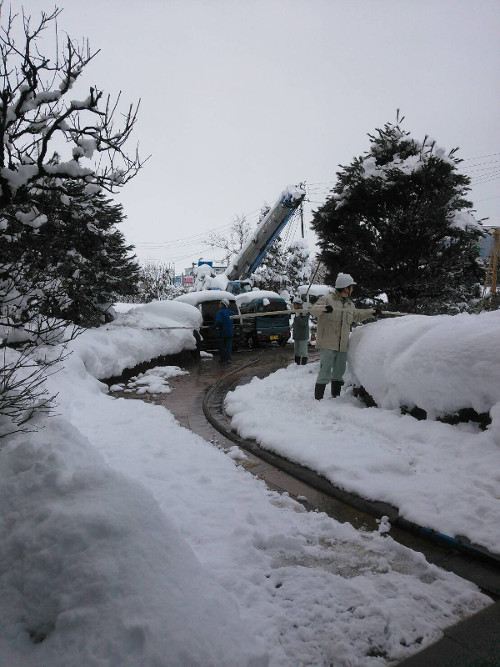 木の雪おろし