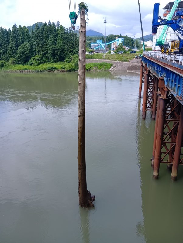流木撤去作業