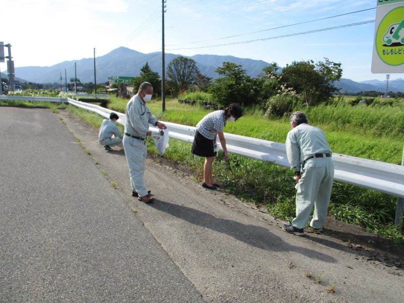 これは９月１２日（月）に実施した光景です。草むらの中にゴミが隠れています。